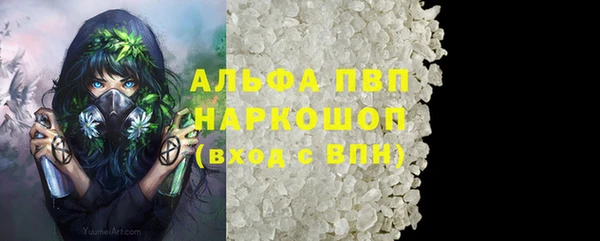 индика Бежецк